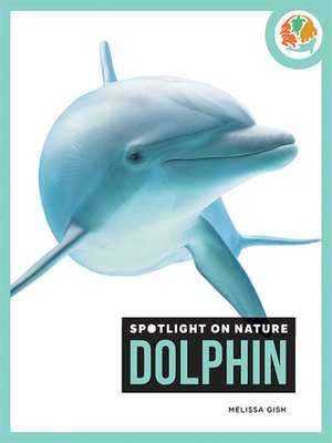 cover image of Dolphin
